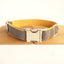 Stylish Dog Collar