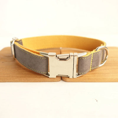 Stylish Dog Collar