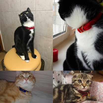 Luxury Cat Collar