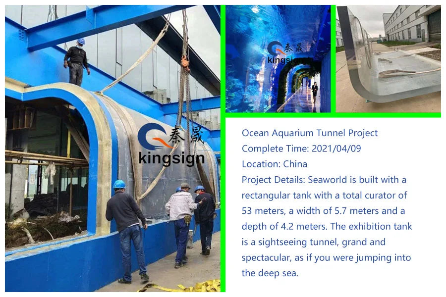 KINGSIGN  huge glass tank jellyfish aquarium high quality acrylic glass tank customized plexiglass tank