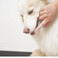 With Box Silicone Soft Pet Finger Cuff Toothbrushes Dog Brush Bad Breath Tartar Teeth Care Tool Cleaning Scrub Silicagel