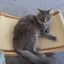 Cats Bed Scratching Pads Cat Toys Cat Scratch Board Multi-function Cat Grind Claws & Sleep Detachable Wear-resistant No Crumbs