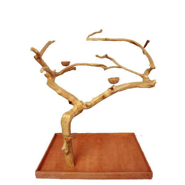 Large Java Wood Tree 48"x32"x66"