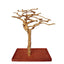 Small Java Wood Tree 48"x24"x66"