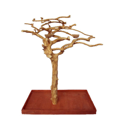 Small Java Wood Tree 48"x24"x66"