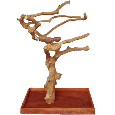Large Java Wood Tree Boxed - 40"x24"x61"