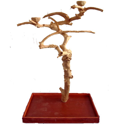 Medium Java Wood Tree Boxed - 38"x24"x61"