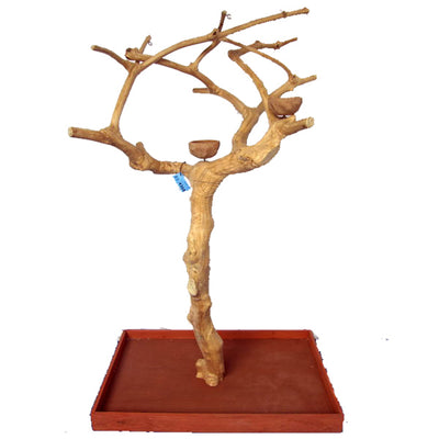 Small Java Wood Tree Boxed - 38"x24"x61"