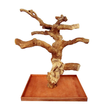 Large Carved Single Java Wood Tree