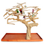 Large Double Java Wood Bird Tree - 73"x36"x66"