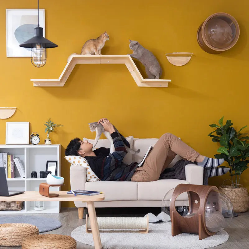 Cat Wall Mounted Shelves Climbing Ladder Cat Bridge Step and  Platform with Scratching Post for Grinding Claw and Playing
