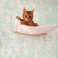 1pc Cat Hammock and Cat Scratching Post Cat Climbing Shelves with Wooden Structure Cat Ladder for Kitten and Cat
