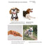 Dog toy molar knot toy cotton rope weaving dog bite rope supplies bite rope ball pet