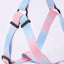 A set of colorful pet harness with leash and dog leash for indoor and outdoor use