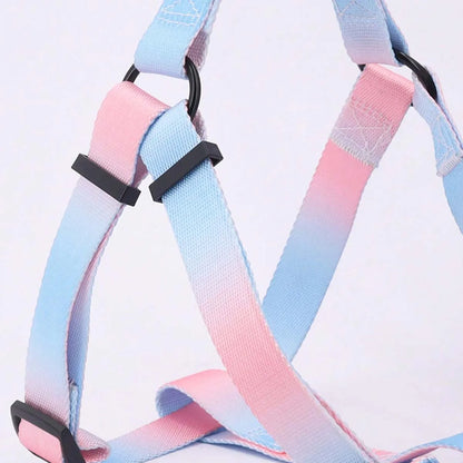 A set of colorful pet harness with leash and dog leash for indoor and outdoor use