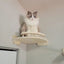 1 Piece Cat Climbing Wall Mounted  Ladder Steps Scratching Post for Cat Wooden Furniture Cat Hammock Cats Sleeping and Playing