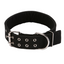 Canvas Dog collar