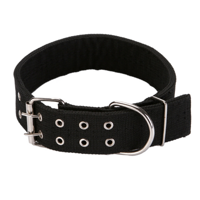 Canvas Dog collar