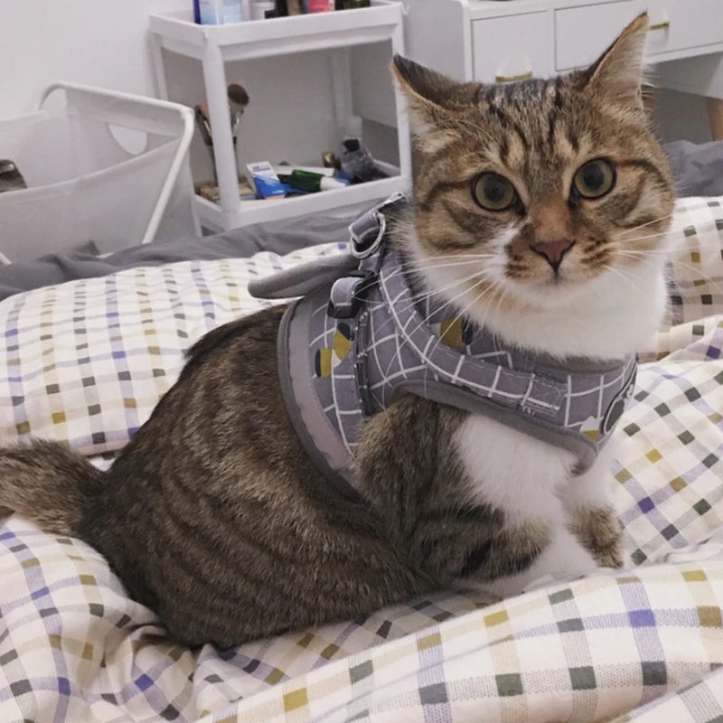 Reflective Pet Cat Harness and Leash Set for Cats Gotas Sphynx Harnesses Walking Dog Leash mascotas Accesorios szelki dla kota