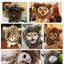 Lion Shaped Cosplay Hat for Cat Black Designer Pet Dog Accessories Winter Christmas Costume Kitten Head Wear Puppy Pet Supplies