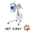 BPM-KC4V Animal Cages with Wheels Movable Dog Cat Used ICU Stainless Steel Veterinary Cage