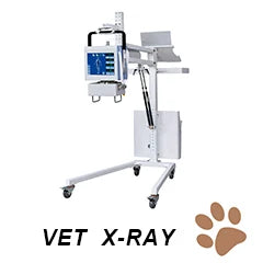BPM-KC4V Animal Cages with Wheels Movable Dog Cat Used ICU Stainless Steel Veterinary Cage