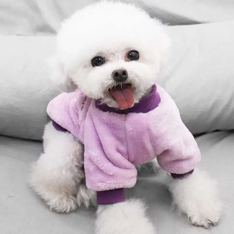 Soft Warm Velvet Dog Hoodies Puppy Winter Coat Strawberry Avocado Dog Clothes for Small Dogs Cold Weather Pullover Pet Apparel