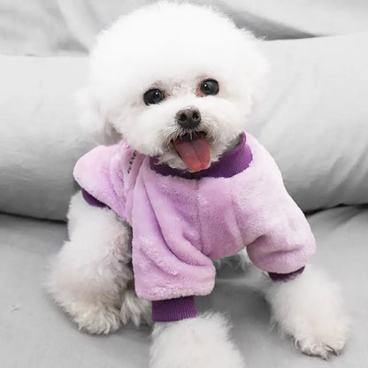 Soft Warm Velvet Dog Hoodies Puppy Winter Coat Strawberry Avocado Dog Clothes for Small Dogs Cold Weather Pullover Pet Apparel