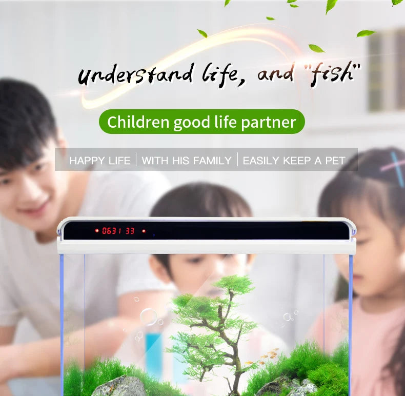 High Quality Small Breeder Box Fish Tank Aquarium Fish Tank Sale Intelligent small fish tank