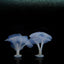 Fluorescent  Fish Tank Aquarium Decoration Artificial Coral Simulation Plant Ornament Pets Underwater Landscape With Suction Cup