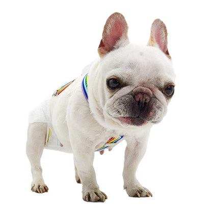 Elastic Dog Suspenders Diaper Keeper Suspenders for Small Medium Large Dog Clothes Female Dog Diapers Pants Skirts Belly Bands