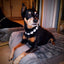 Bling Rhinestone Dog Necklace Jewelry Luxury Designer Gemstone Princess Dog Cat Wedding Collar for Small Medium Dogs Puppy