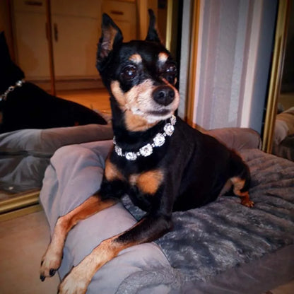 Bling Rhinestone Dog Necklace Jewelry Luxury Designer Gemstone Princess Dog Cat Wedding Collar for Small Medium Dogs Puppy