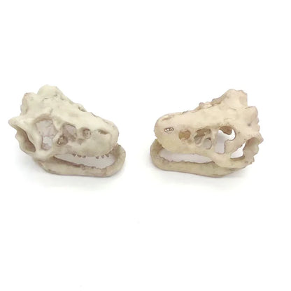 Aquarium Ornaments Decoration Resin Rhinoceros Horned Skull Goat-Head Shape Fish Tank Spider Scorpion Lizard Aquariums Shelter