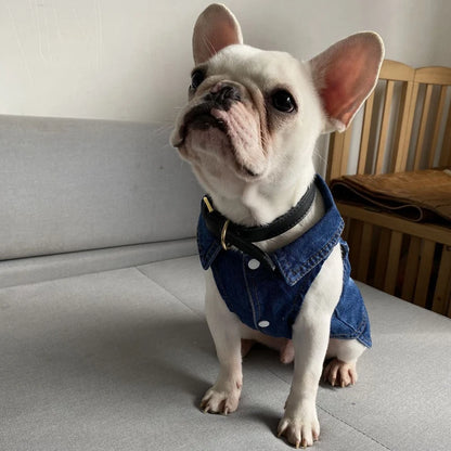 Wholesale Dog Jeans Jacket Denim Vest Coat Sleeveless Design Spring Autumn Clothes for Small Medium Dogs Bulldog York Costume