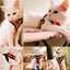 Cat Harness Leash Set for Small Dogs Adjustable Puppy Cat Harness Vest French Bulldog Chihuahua Pug Outdoor Walking Lead Leash