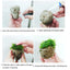 Small Size 5cm Natural Unique Shape Aquarium Fish Tank Floating Rock Stone Suspended Stones Floating Pumice Decor Rock Ornaments