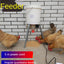 Automatic Chicken Feeder Pigeon Chicken Duck Carrier Pigeon Trough Intellegent Timing Automatic Chicken Feeder Pigeon Supplies