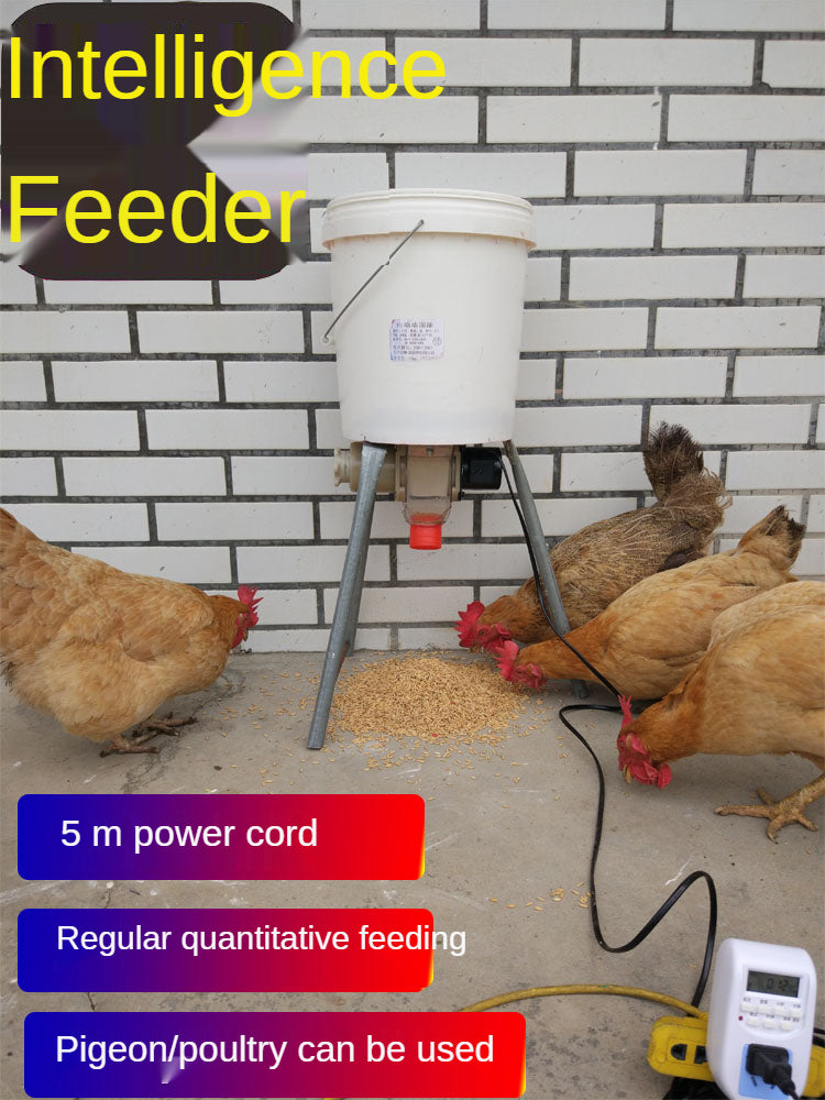 Automatic Chicken Feeder Pigeon Chicken Duck Carrier Pigeon Trough Intellegent Timing Automatic Chicken Feeder Pigeon Supplies