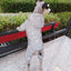 Overalls for Dogs Waterproof Winter Dog Jumpsuit Thick Fleece Cold Weather Jacket Coat Yorkie Chihuahua Small Medium Dog Clothes