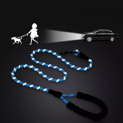 Reflective Leash