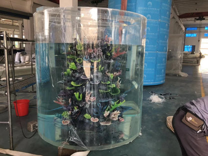 Cylindrical Acrylic Aquariums & Accessories Aquarium Oceanarium Project Sustainable Transparent any Sizes ISO9001:2015