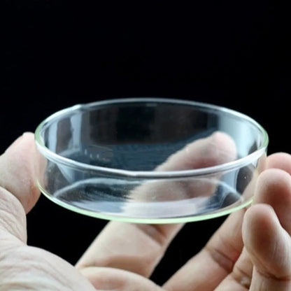 Glass Aquarium Feeder Tube Dish Transparent Fish Tank Shrimp Snail Food Feeder Bowl Aquarium Feeding Accessories Shrimp Feeders