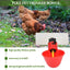 10 Sets Automatic Poultry Drinking Cups Chicken Tapping Waterer Drinker  and Chicken Waterer PVC Tee Fittings Chicken Feeder
