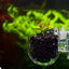 Acrylic Aquarium Feeder Fish Tank Mini Crystal Glass Pot Polka Water Potted Aquatic Planting Cylinder Cup Aquarium Plants Decor