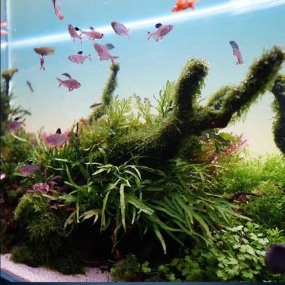 Customized Different Size Fish Tank Coral LED Aquarium fresh water plant fish light for tank
