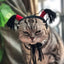 Funny Hat for Cat Sunflower Christmas Costume Pet Hat Halloween Cosplay Keep Warm Headwear Dogs Hats Puppy Accessories for Cats