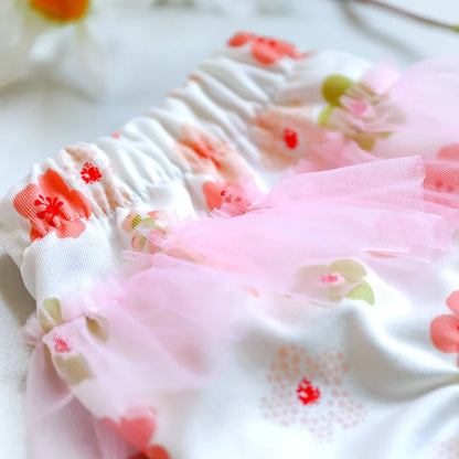 Washable Dog Period Panties Heat Dog Panties Stretchy Reusable Female Dog Diapers for Small Medium Dogs