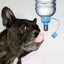 Automatic Pet Feeder Dog Cat Water Bottle Head Feeder for Dogs Cats Water Drinking fountain Mouth Water Dispenser Pet Supplies