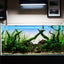 Factory Wholesale Aquariums Optiwhite Large Tank Fish Aquarium With Base Cabinet